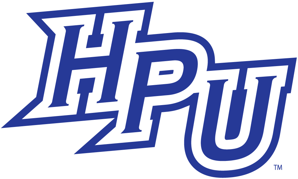 High Point Panthers 2004-2011 Alternate Logo v5 diy iron on heat transfer